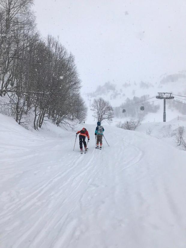 443c11d1-93dc-40b8-985b-77cd28ff2d3a